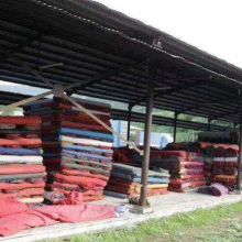 青岛废旧地毯回收